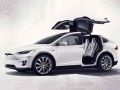 Tesla адаптировала электрокар для веганов | техномания