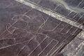 НАСА показало снимки загадочных линий Наска в Перу