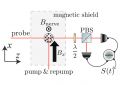 Создан сверхчувствительный детектор магнитного поля отдельных нервов