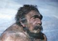 Ученые определили роль неандертальских генов в развитии болезней | техномания