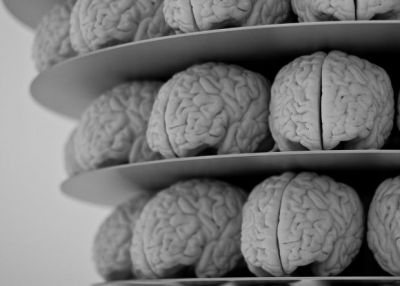 The Brain Prize 2016 года вручили за исследования памяти