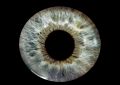 Google запатентовала установку линзы уколом в глаз