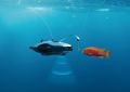 Китайцы представили подводного робота-удильщика с эхолотом | техномания