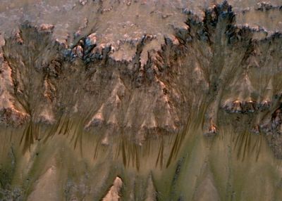 Выносливость микробов проверили в «марсианской» воде