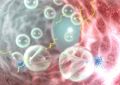 Лечебные РНК научились доставлять в клетки ультразвуком | техномания