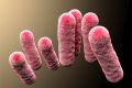 Раскрыт механизм эволюции смертельно опасных бактерий | техномания