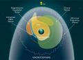 Ученые услышали «пение» волн в плазмосфере Земли | техномания