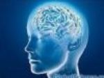 Мозговые киберимпланты II | техномания