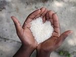 Китайские биологи получили человеческую кровь из риса | техномания