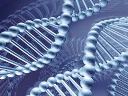Биотехнологи изобрели биоробота из ДНК