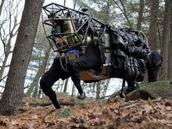Пентагон протестировал четырехногого робота
