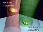 Немецкие ученые создали нано-ухо, которое слышит микробов