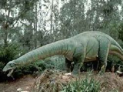 Во времена динозавров полюса были покрыты соснами