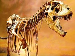 Учёные выяснили: вымершие динозавры столкнулись с огнём
