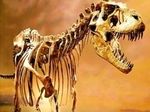 Учёные выяснили: вымершие динозавры столкнулись с огнём