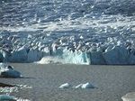 В таянии антарктического льда виноват теплый океан