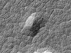 На Марсе обнаружены гигантские улитки