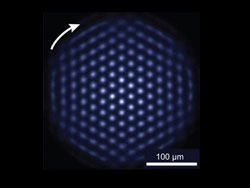 Физики создали квантовый симулятор с сотнями кубитов