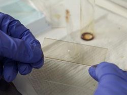 Учёные разработали жидкие солнечные нанобатареи