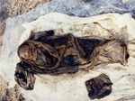 Корейская мумия: разгадан генетический код гепатита В