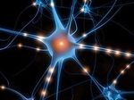 Учёные стремительно разрабатывают молекулярную память