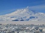 Ученые нашли растительность в древней Антарктиде | техномания