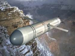 Россия разработала контейнерную крылатую ракету