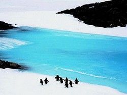 Ученые обнаружили в Антарктиде рифтовую долину