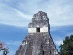 Учеными найдены новые памятники цивилизации майя
