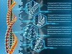 Учёным удалось записать около 700 терабайт в ДНК