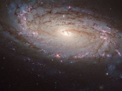 Опубликованы снимки далекой сверхновой