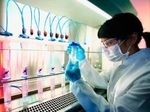 Биотехнологический бизнес-инкубатор начнет работу в Сибири